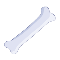 Bones–teeth strengthen-bones-minerals