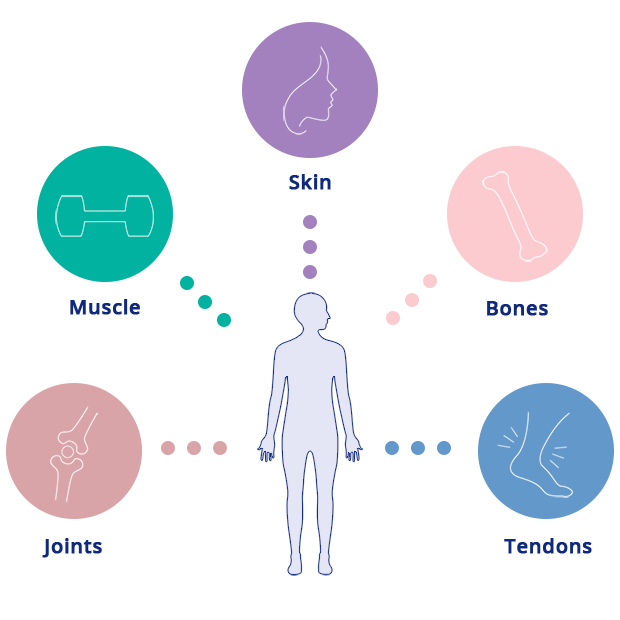 Collagen in the body