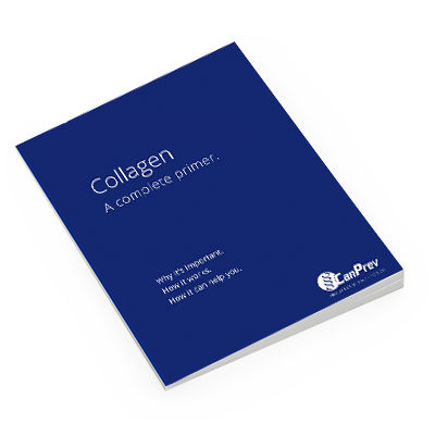 Download Collagen Primer
