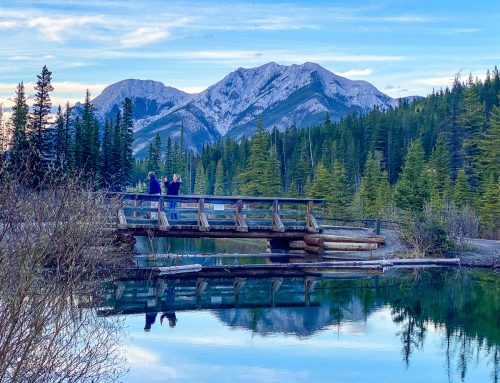 Are you metabolically healthy?