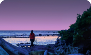 Keeps your mind sharp A snowy mountain surrounded by deciduous trees, backlit by the sunset.