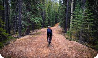 Supporting your physical wellbeings An individual rides a bike away from the camera down a dirt path, surrounded by trees on either side.